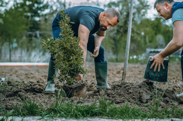 Soil Testing and Treatment in Chambersburg, PA